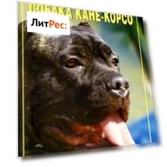 Собака Кане-Корсо