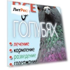 Все о голубях. Лечение, кормление, разведение, содержание