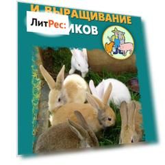 Разведение и выращивание кроликов