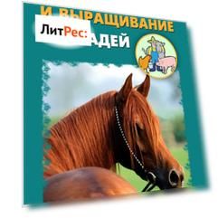 Разведение и выращивание лошадей