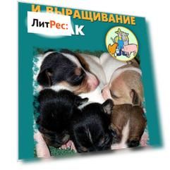 Разведение и выращивание собак