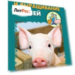 Разведение и выращивание свиней