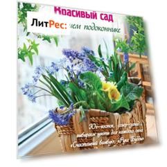 Красивый сад на вашем подоконнике