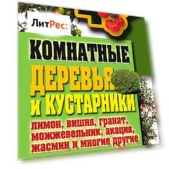 Комнатные деревья и кустарники: лимон, вишня, гранат, можжевельник, акация, жасмин и многие другие