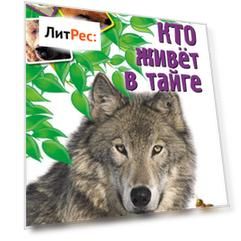Кто живет в тайге