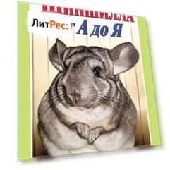 Шиншилла от А до Я