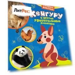 Кенгуру и другие удивительные животные