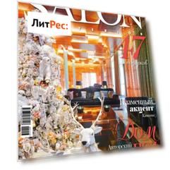 SALON-interior №01/2016