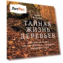 Тайная жизнь деревьев. Что они чувствуют, как они общаются – открытие сокровенного мира
