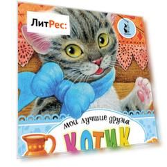 Котик