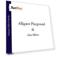 Alligator Playground