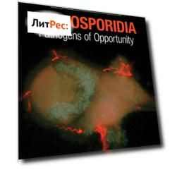 Microsporidia