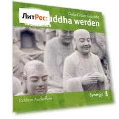 Zum Buddha werden in 5 Wochen, Episode 2