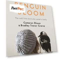 Penguin Bloom