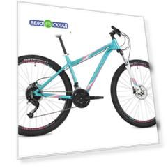 Omega STD 27.5 (2018)