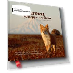 Камчатка, которую я люблю