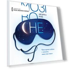 Мозг во сне