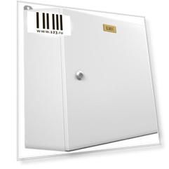 Шкаф электротехнический ЦМО EMW-300.200.150-1-IP66 настенный 200мм 150мм несъемные 50кг серый