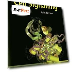 Structure and Function in Cell Signalling