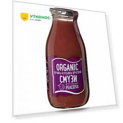 Смузи Rudolfs Organic Черника Клубника с семенами чиа 0.26 л