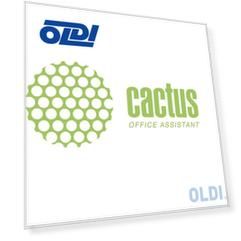 Чернила Cactus CS-I-EPT0486 для Epson Stylus Photo R200/ R220/ R300/ R320 100 мл светло-пурпурный
