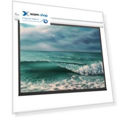 Экран Viewscreen Antis EAN-4307