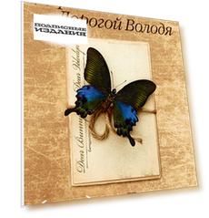 Дорогой Пончик. Дорогой Володя. Переписка 1940-1971