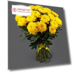 Букет 21 желтая хризантема Сингл
