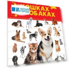 Большая энциклопедия о кошках и собаках