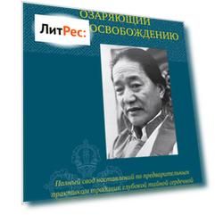 Светильник, озаряющий путь к освобождению. Полный свод наставлений по предварительным практикам традиции глубокой тайной сердечной сущности Дакини