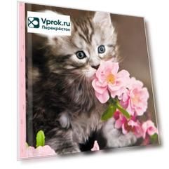 Записная книжка Unnikaland A6 64л