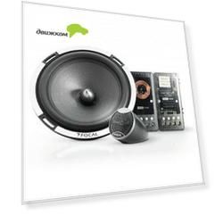 Акустика Focal PS 165 V1 Performance см 80Вт
