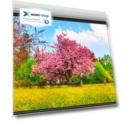 Экран Lumien LMLC-100111A