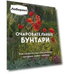 Очаровательные бунтари. Как создать сад с растениями, которые любят свободу