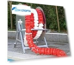 Катушка для сматывания дорожки для разметки бассейна Мини Haspo 924-4321