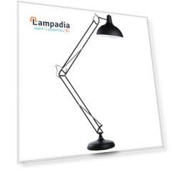 Торшер Arte Lamp Goliath A2487PN-1BK