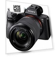 Системный фотоаппарат Sony