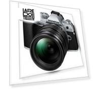 Системный фотоаппарат Olympus