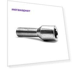 Болт M12X1,25X28 внутренняя 10-лучевая звезда кл.K1710 Цинк, 10шт.