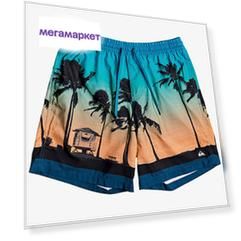 Шорты для плавания мужские Quicksilver Paradise 17' EQYJV03590 разноцветные 30 EU