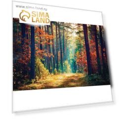 Фотобаннер, 300 × 200 см, с фотопечатью, люверсы шаг 1 м, «Осенний лес», Greengo
