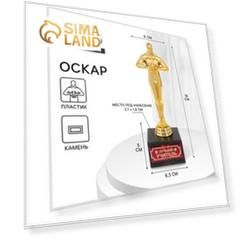 Наградная фигура «Лучший учитель», оскар, кубок