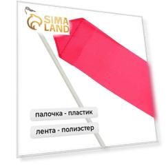 Лента гимнастическая с палочкой Grace Dance, 2 м, цвет фуксия