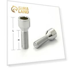 Болт M12x1,25, 48/24, под шестигранник, спец. внутр, хром