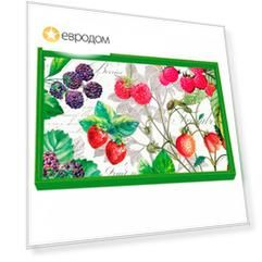 Поднос Michel design works Ягоды 50,5x34см