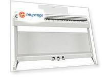 YDP-144WH