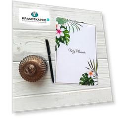 Nail Book, Планер на пружине «Тропики»