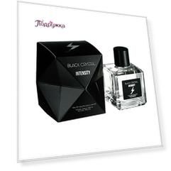 Туалетная вода BLACK CRYSTAL INTENSITY муж. 100 мл