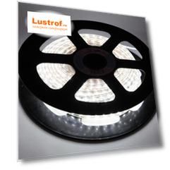 20м. Светодиодная влагозащищенная лента ЭРА 4,8W/m 60LED/m 5050SMD 6500K 20M LS2835-4,8-60-220-6500К-IP67-20m Б0043095