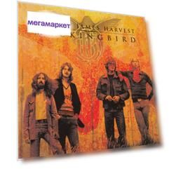 Barclay James Harvest Mockingbird